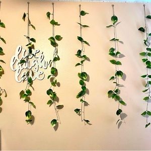 Decor Vines for Selfie Wall accent wall, New
